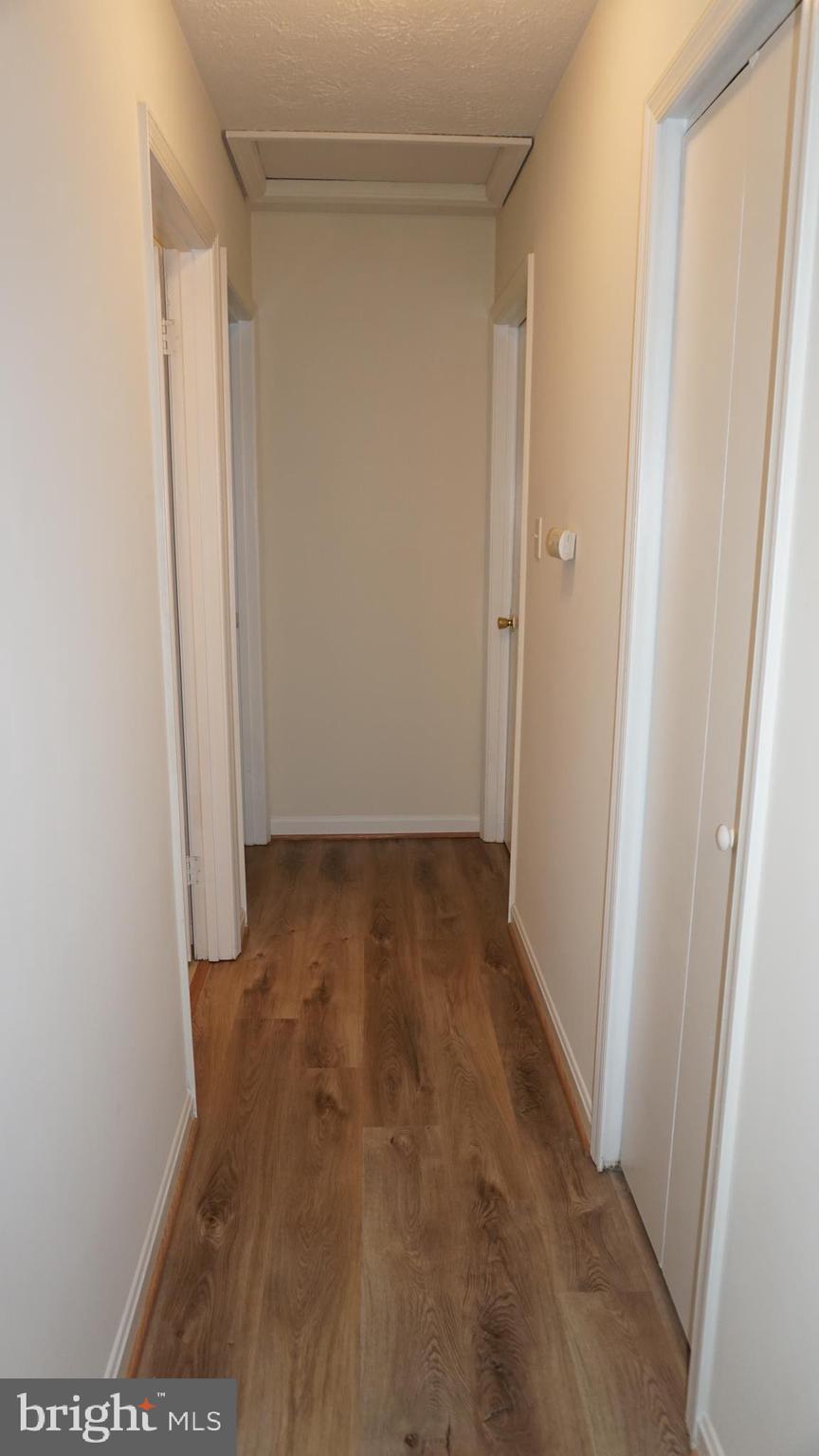 RIPLEY SUB - Residential Lease