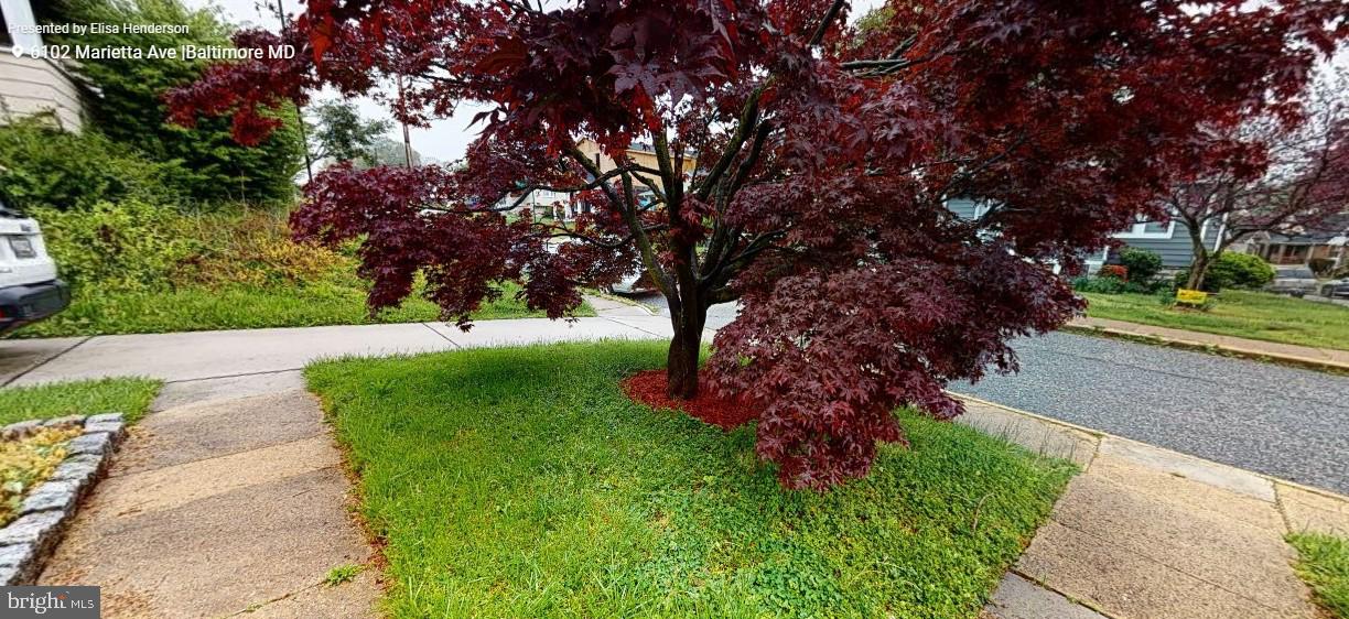 HAMILTON HEIGHTS - Residential