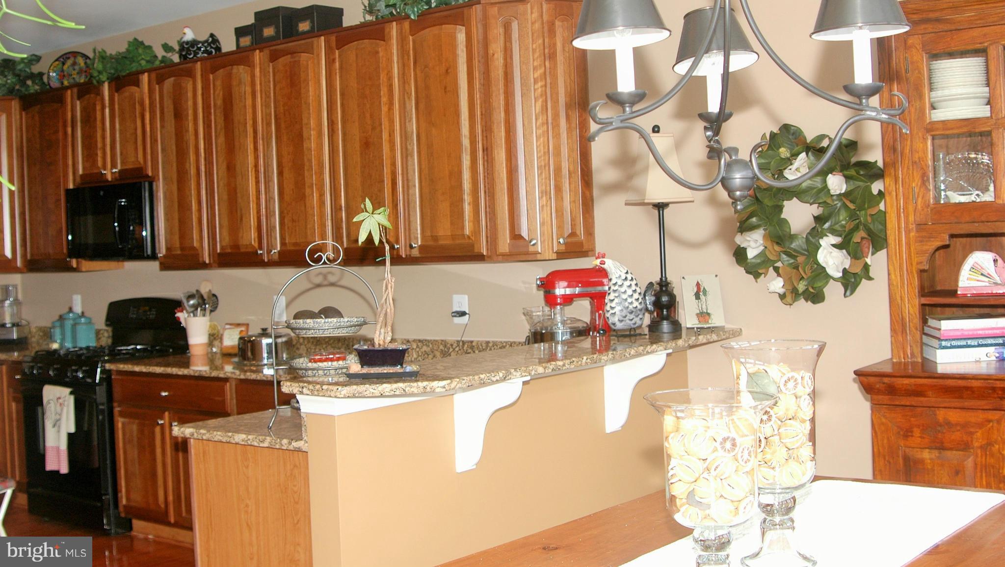 VILLAS AT THE RIDGES - Residential