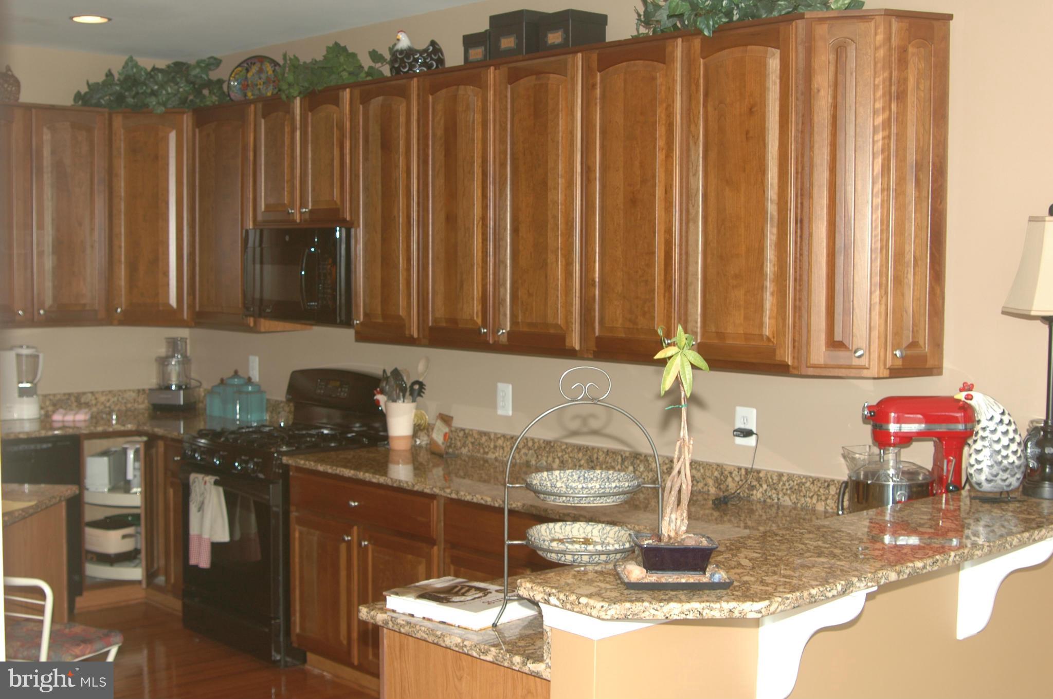 VILLAS AT THE RIDGES - Residential