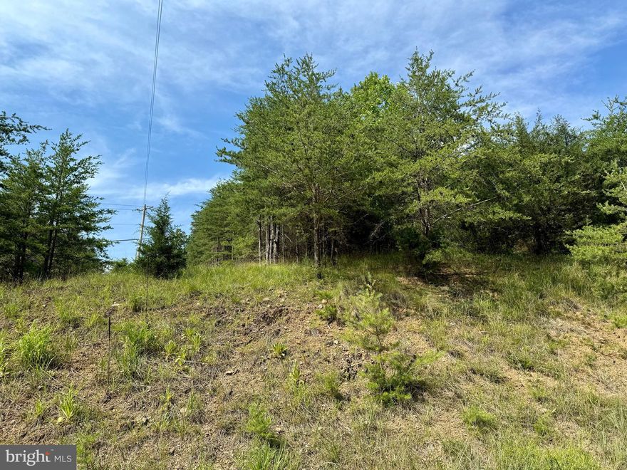 Tucked away in the peaceful, gated community of The Crossings at Great Cacapon, this 5-acre property offers the perfect slice of West Virginia beauty. With a gentle incline, it’s ideal for building your dream home or cabin, all while enjoying stunning views of the surrounding landscape. You'll have access to the Cacapon River, the cleanest river in the state, making it perfect for fishing, canoeing, and swimming right at your doorstep. Whether you're looking for a weekend getaway or a place to settle down, this property gives you the chance to live close to nature, with all the adventure and tranquility our beautiful state has to offer. Create your own piece of Almost Heaven, where memories and outdoor fun are just waiting to happen!