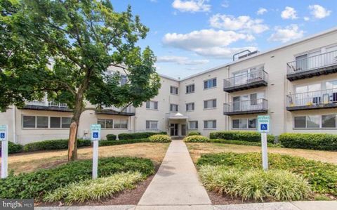 1001 CHILLUM ROAD 101 HYATTSVILLE MD 20782