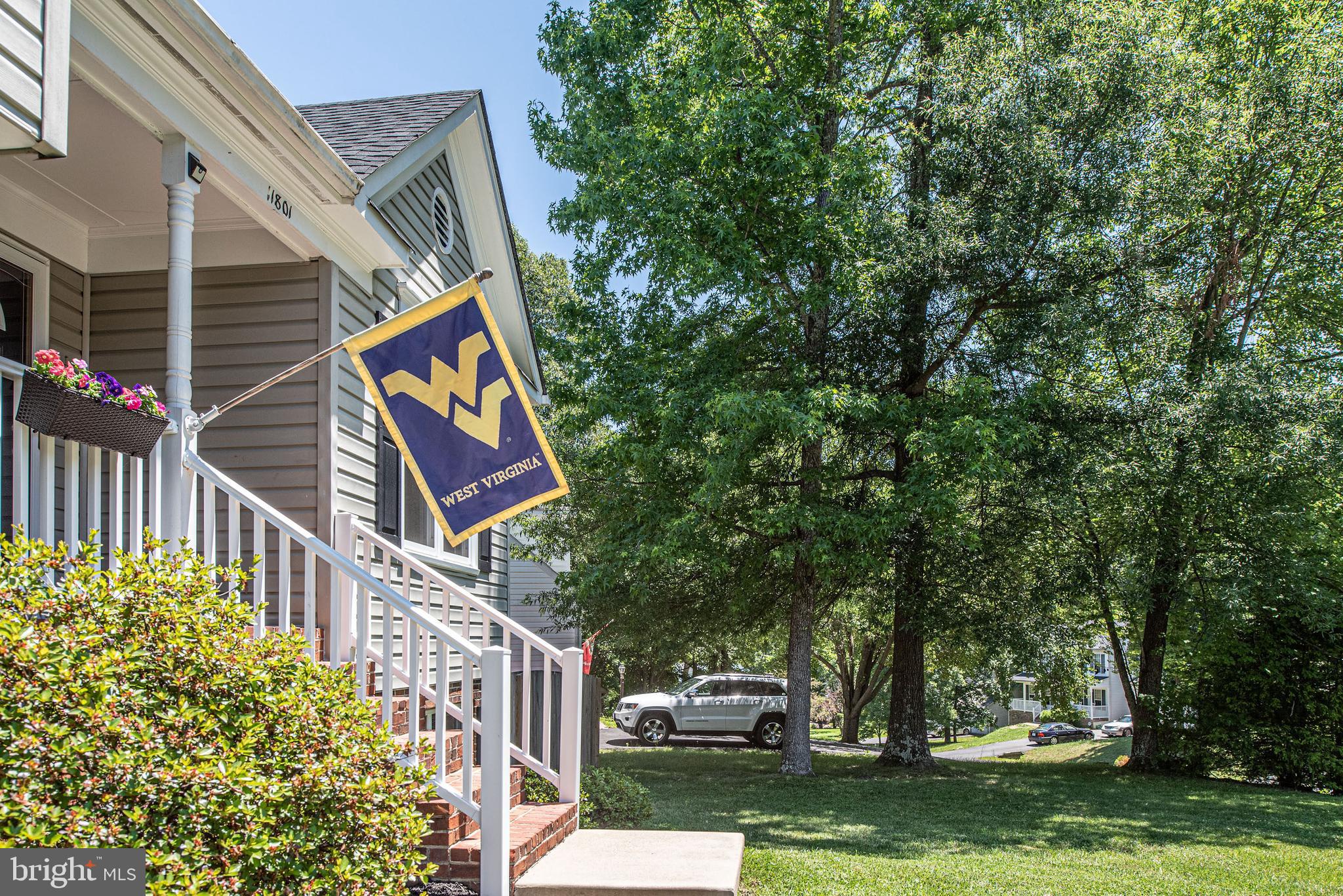 SMOKETREE - Residential