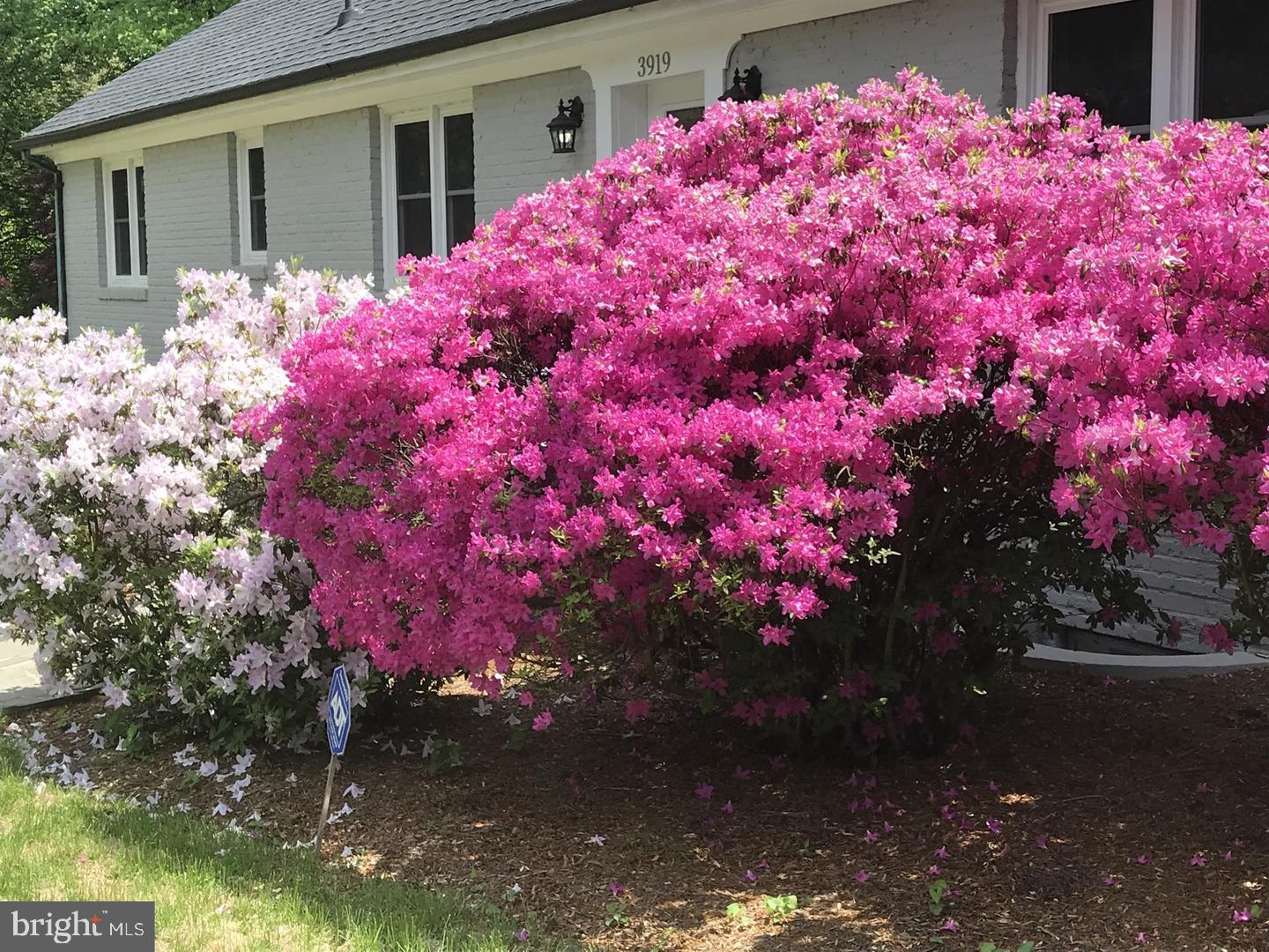 MOORE AND KEITH - Residential Lease