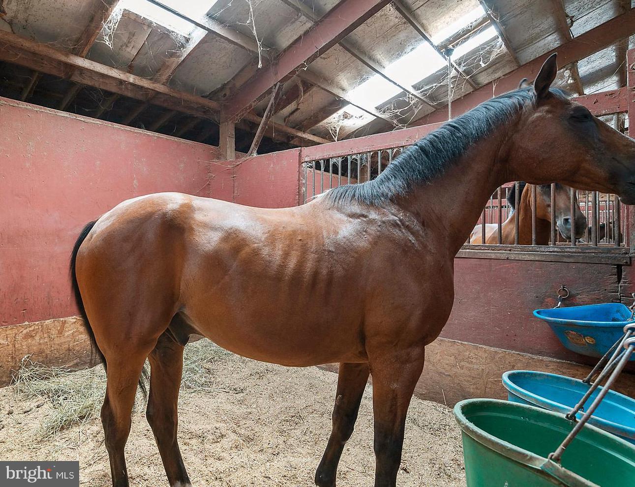 SOWEGO FORREST - Residential