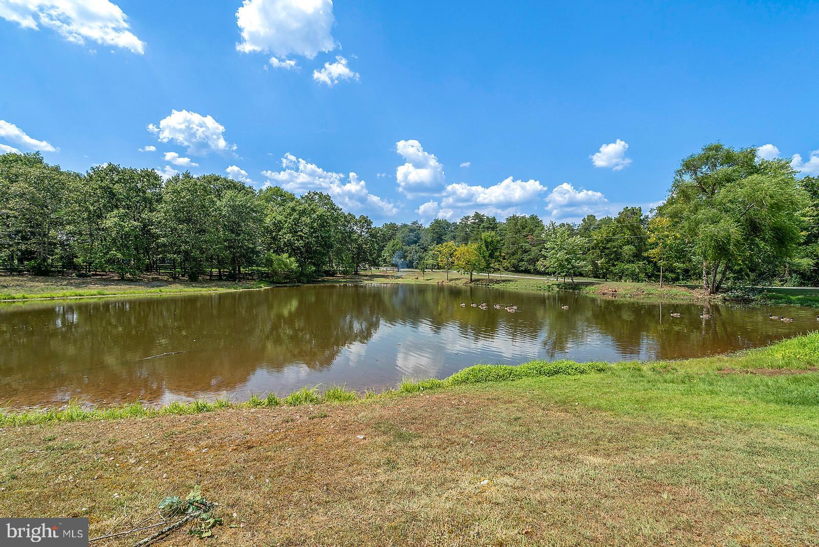 SOWEGO FORREST - Residential