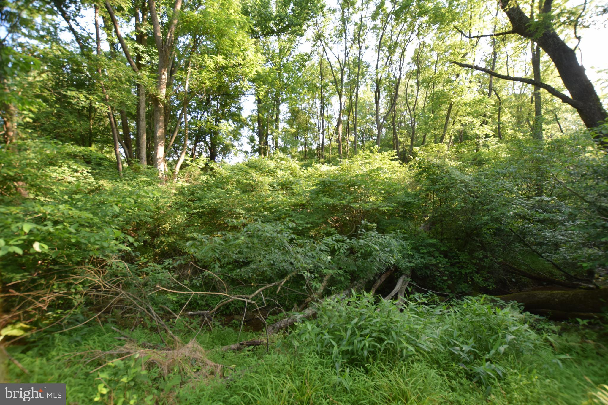 GRAND VALLEY FARMS - Residential