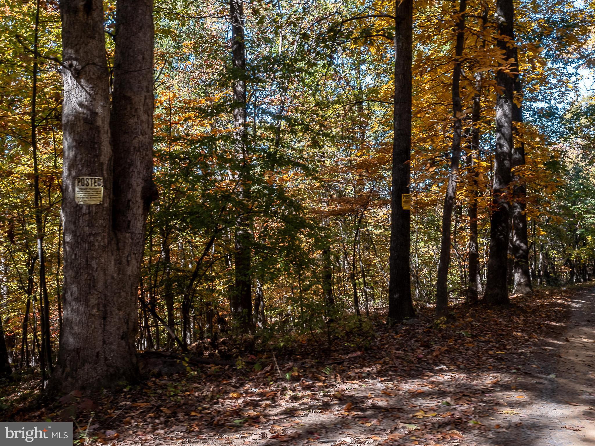 TUSCARORA PIKE - Land