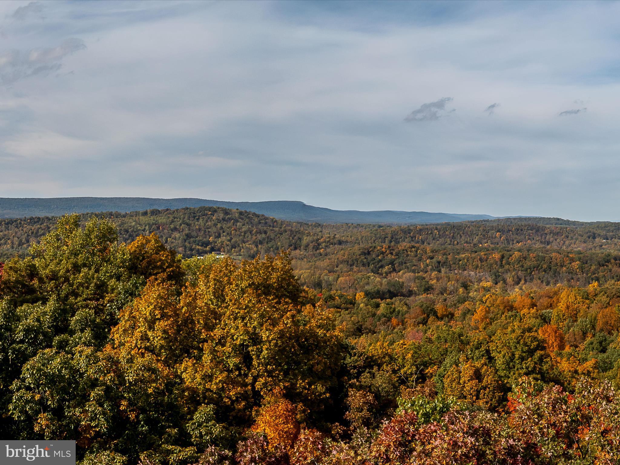 TUSCARORA PIKE - Land