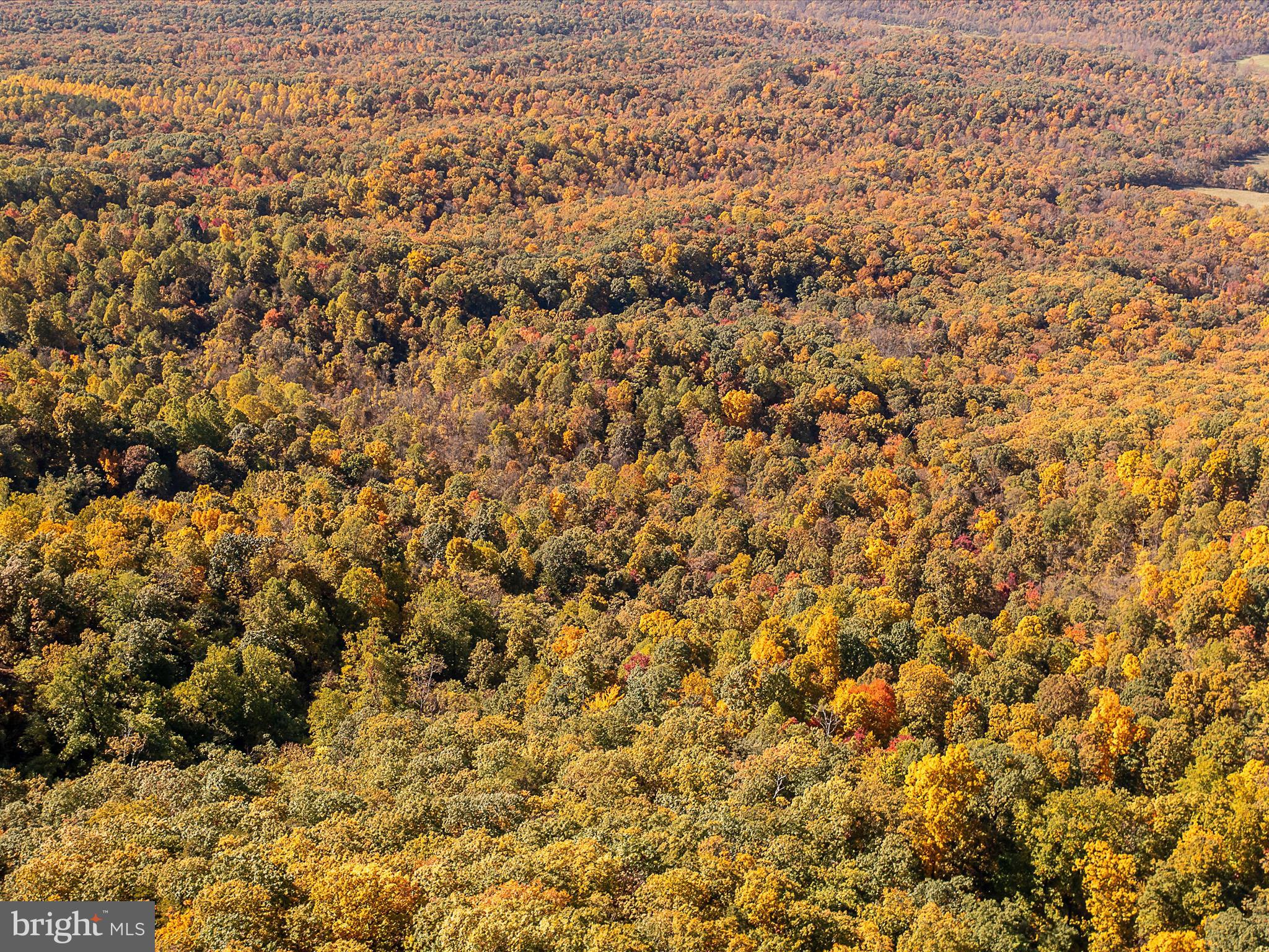 TUSCARORA PIKE - Land