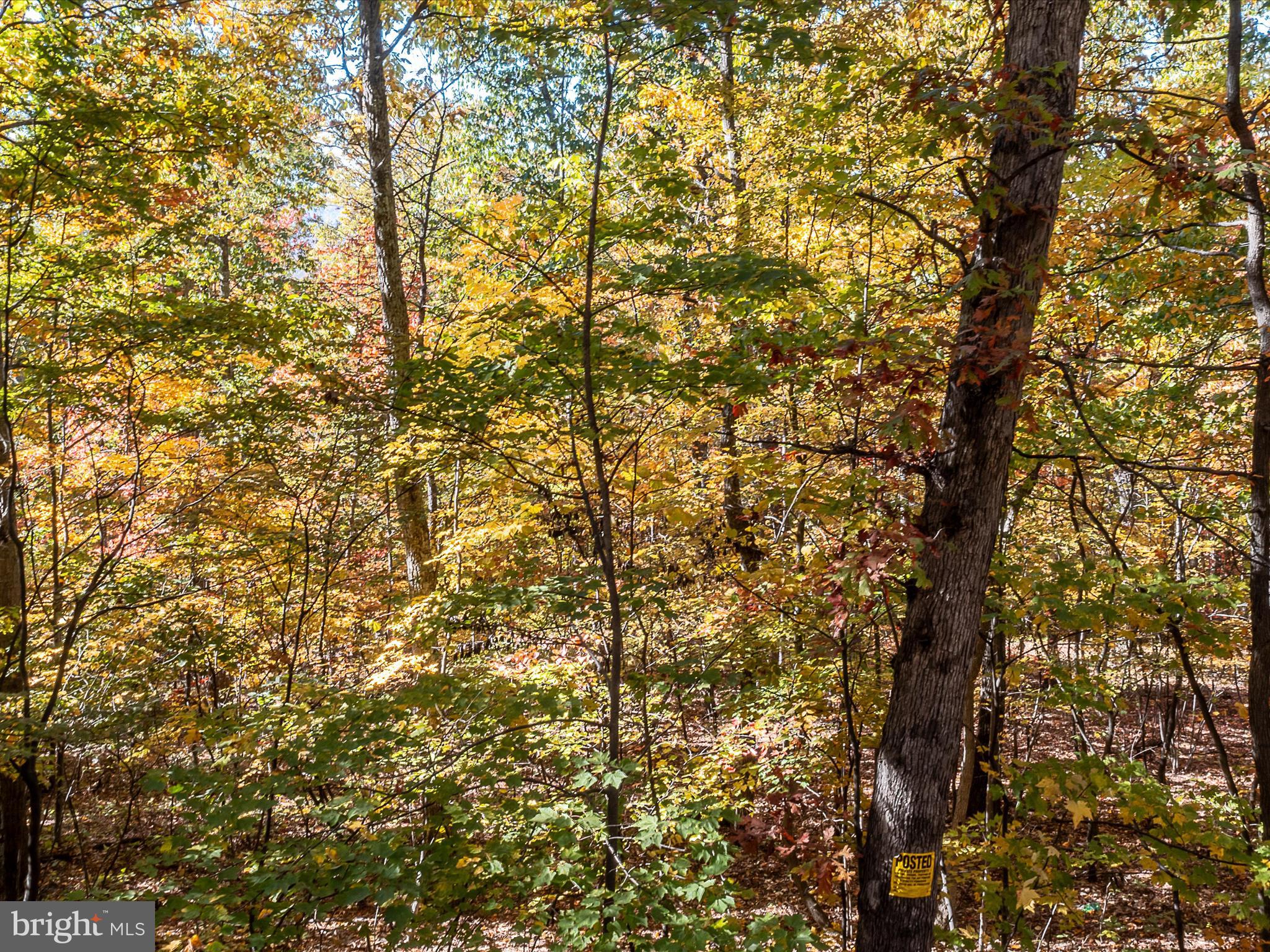 TUSCARORA PIKE - Land