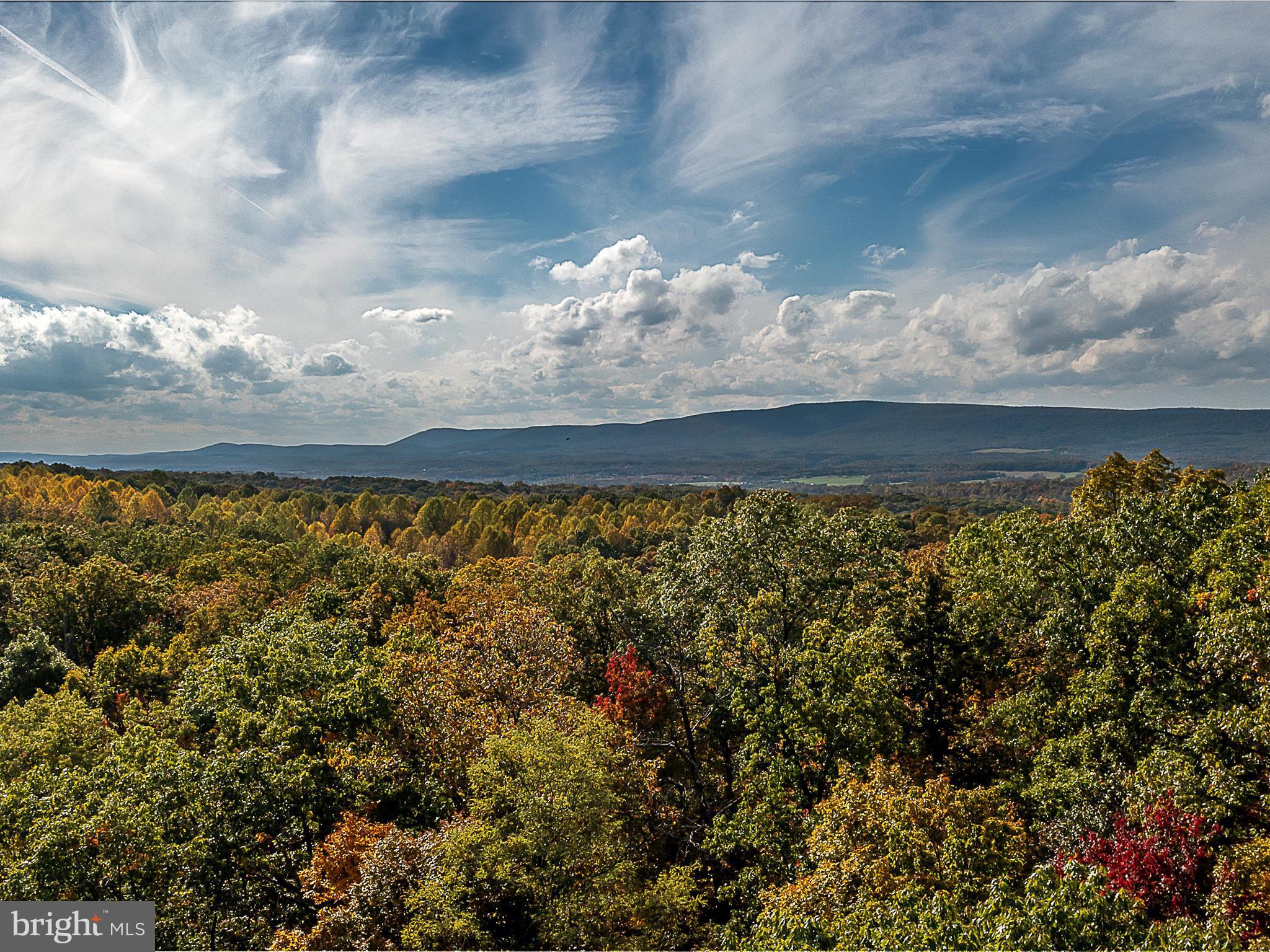 TUSCARORA PIKE - Land