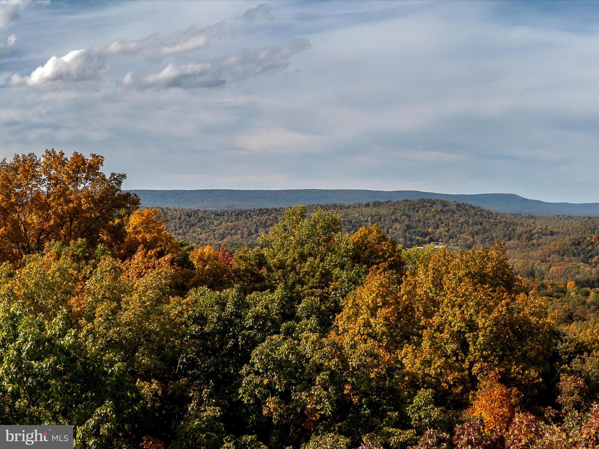 TUSCARORA PIKE - Land