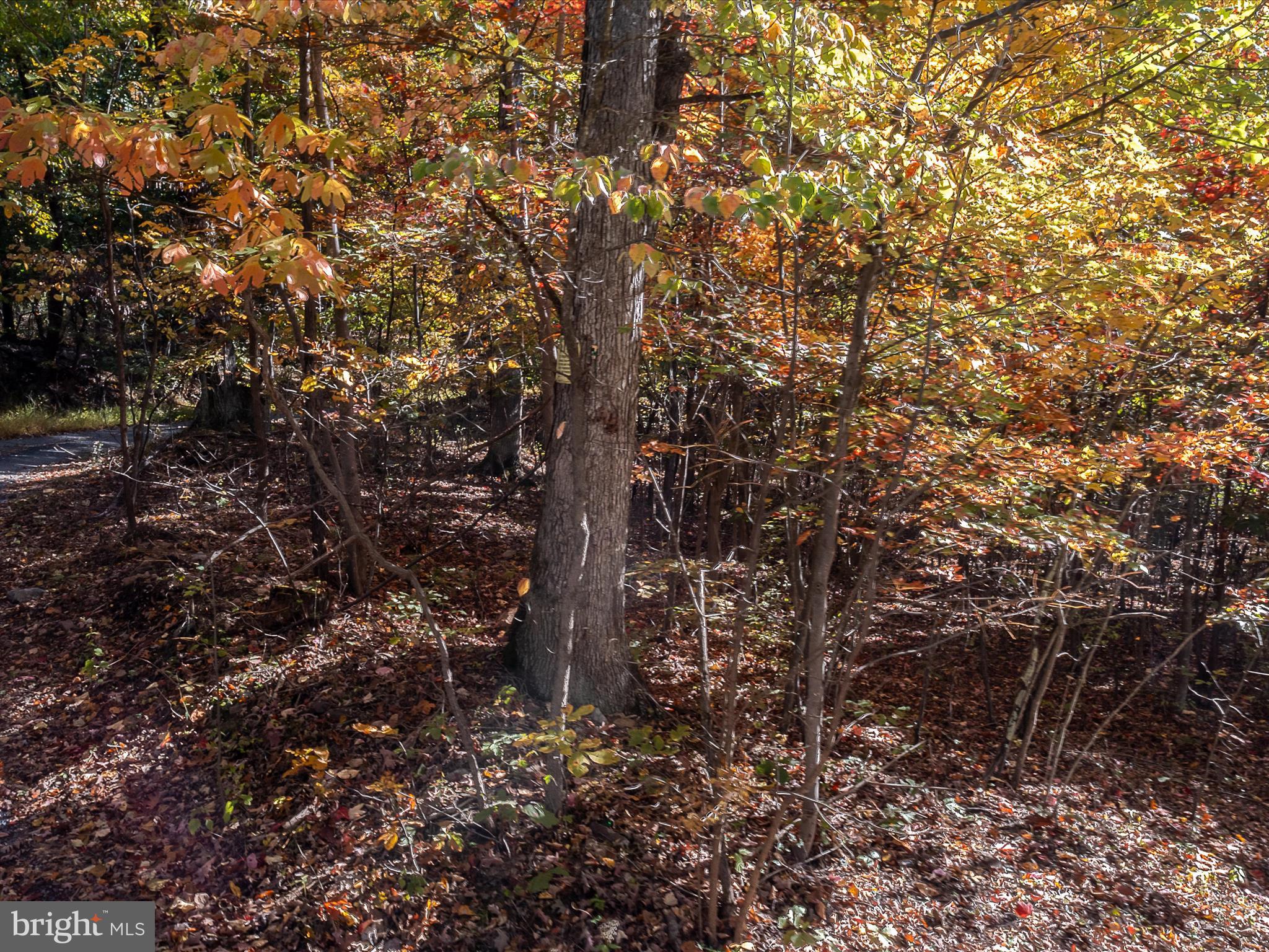 TUSCARORA PIKE - Land