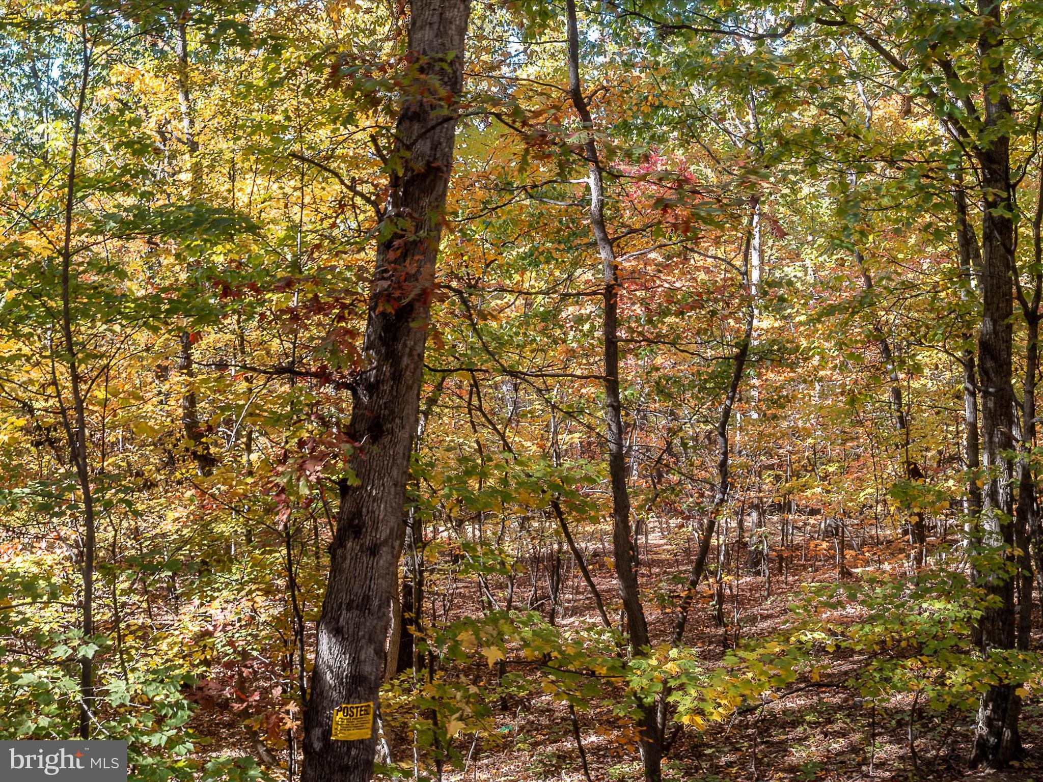 TUSCARORA PIKE - Land