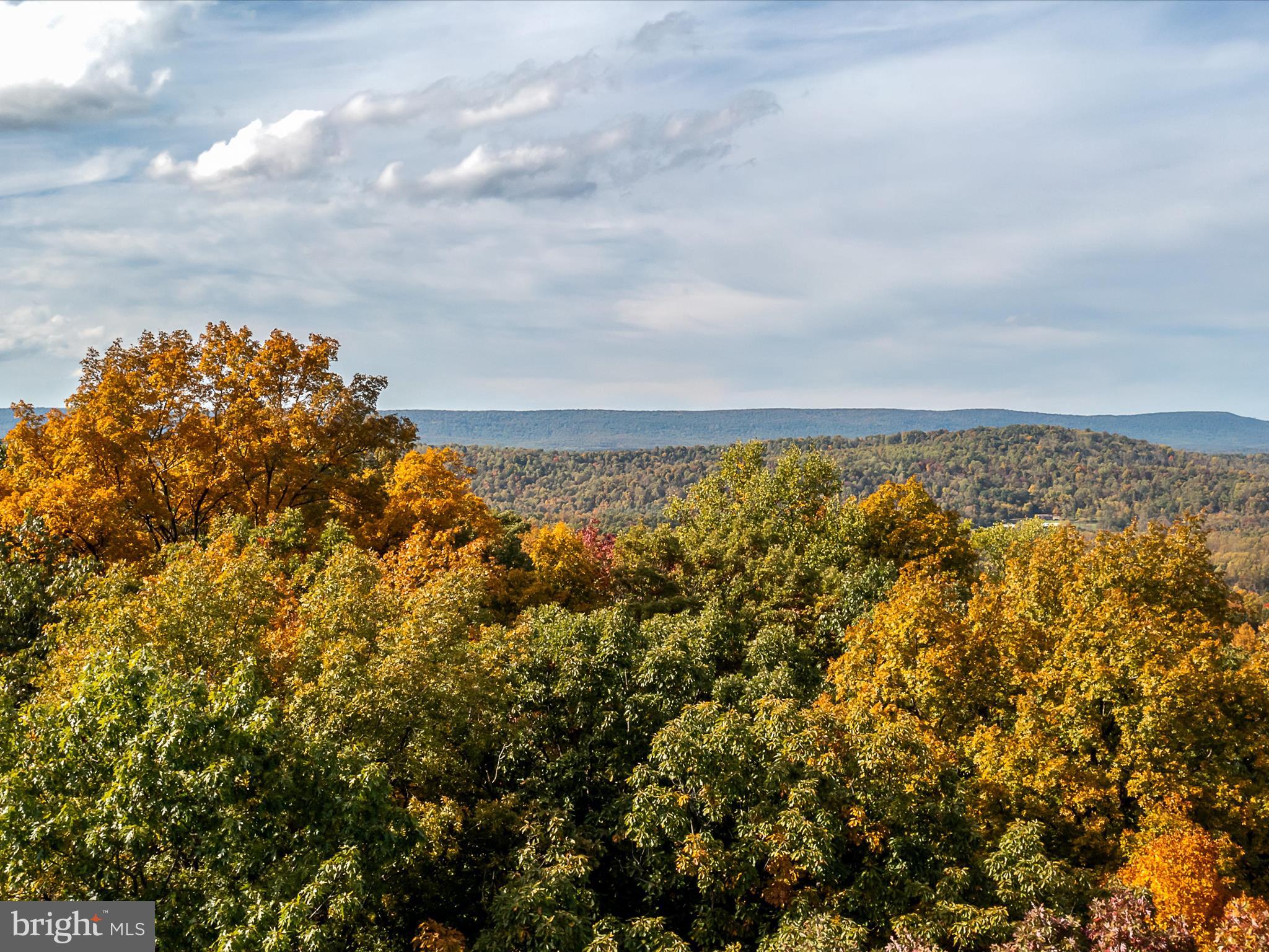 TUSCARORA PIKE - Land