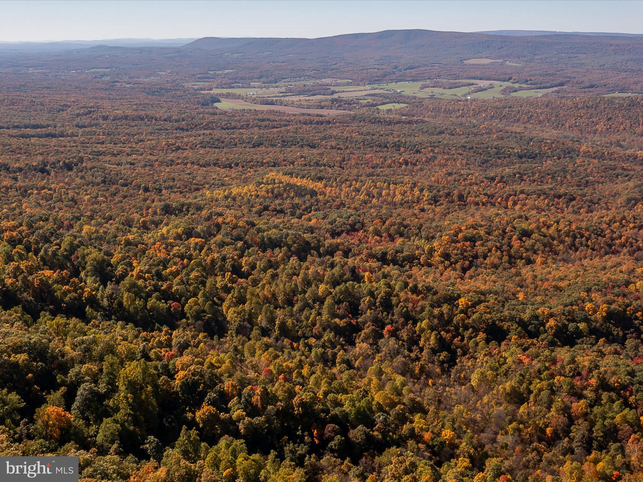 TUSCARORA PIKE - Land