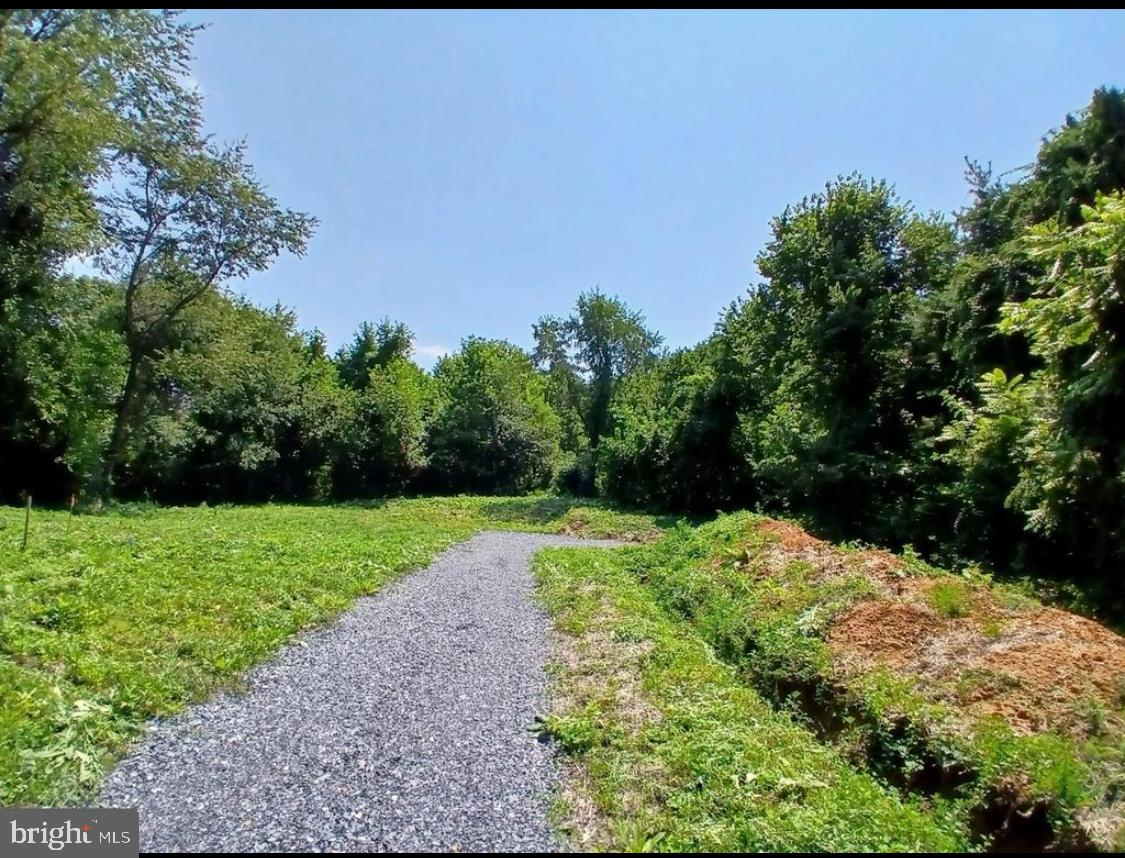 2264 WALNUT BOTTOM ROAD