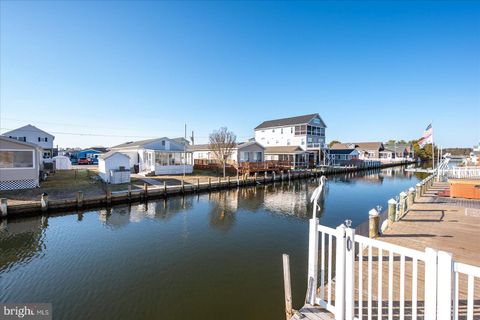 listing image 50