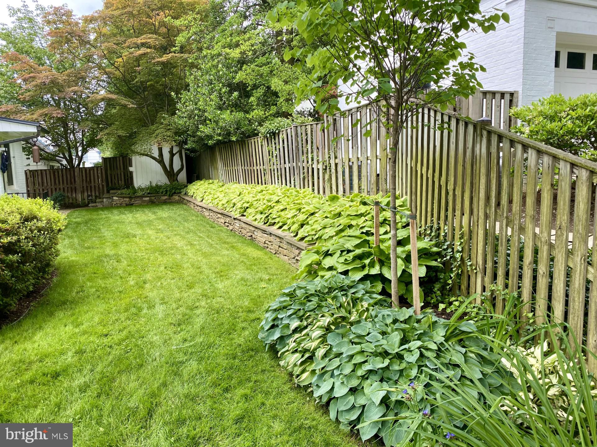 CHEVY CHASE - Residential