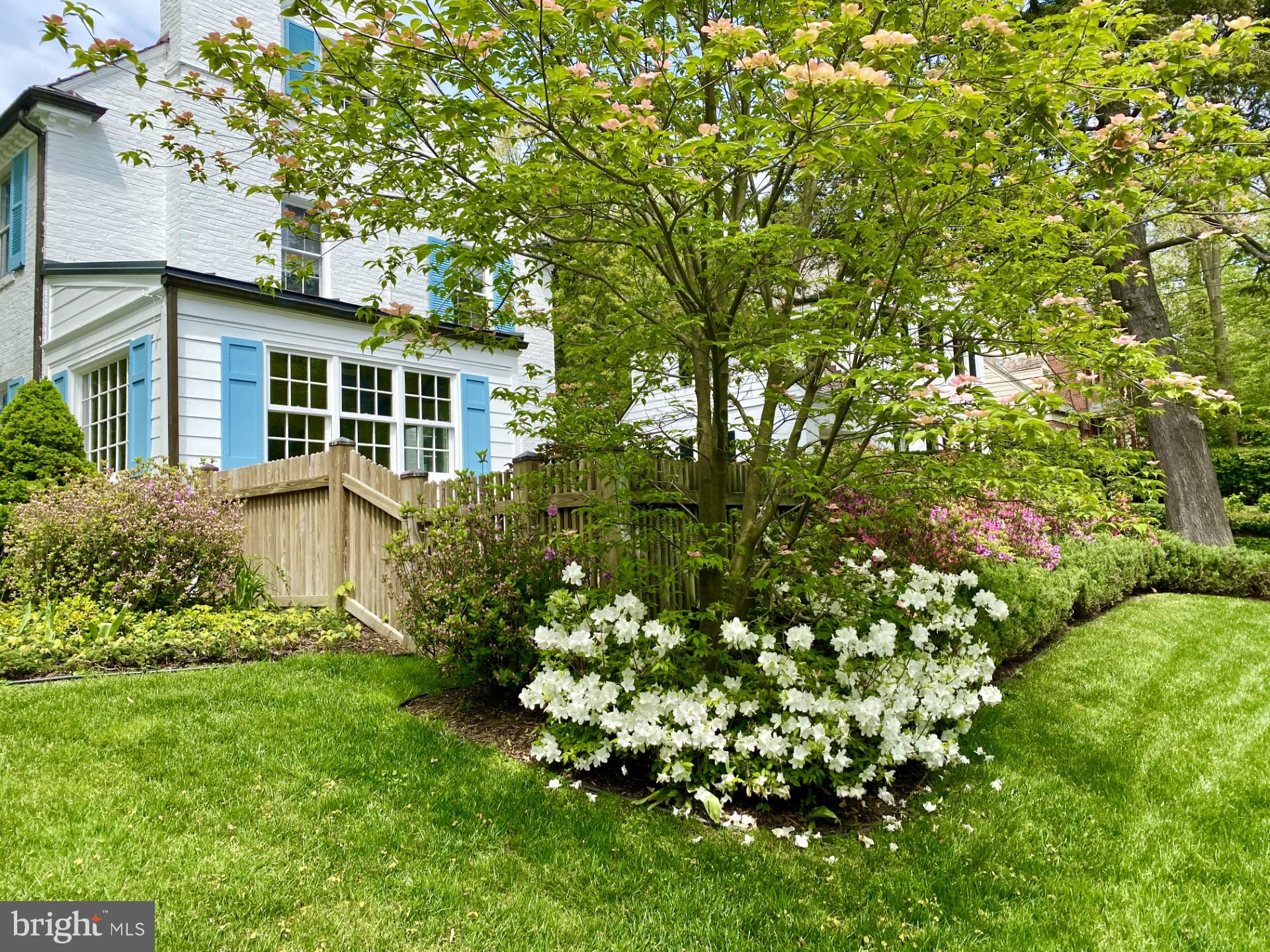 CHEVY CHASE - Residential