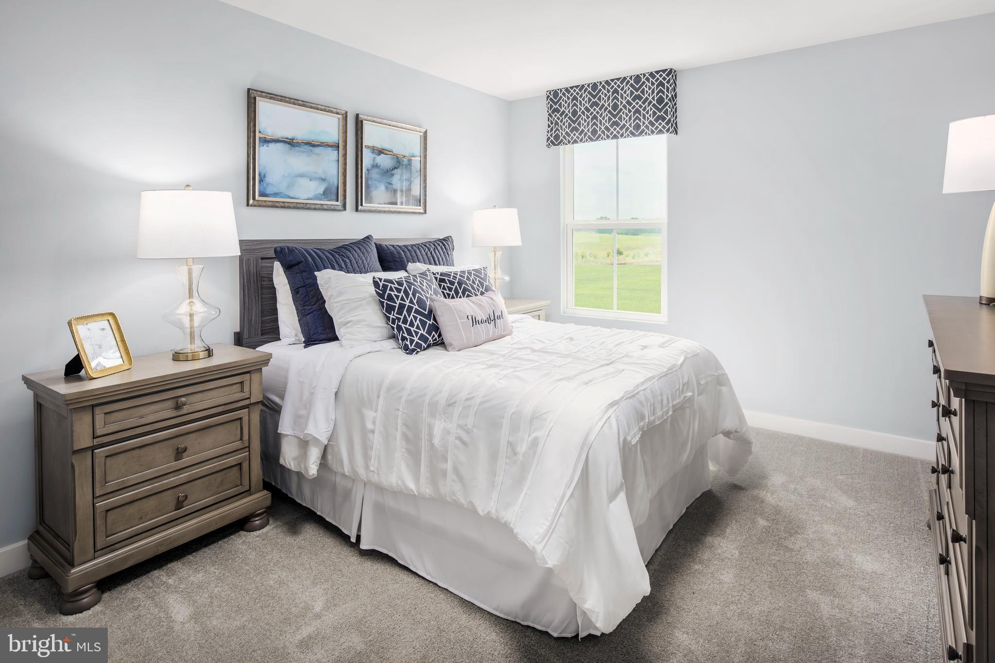 TIMOTHY BRANCH 55+ - Residential