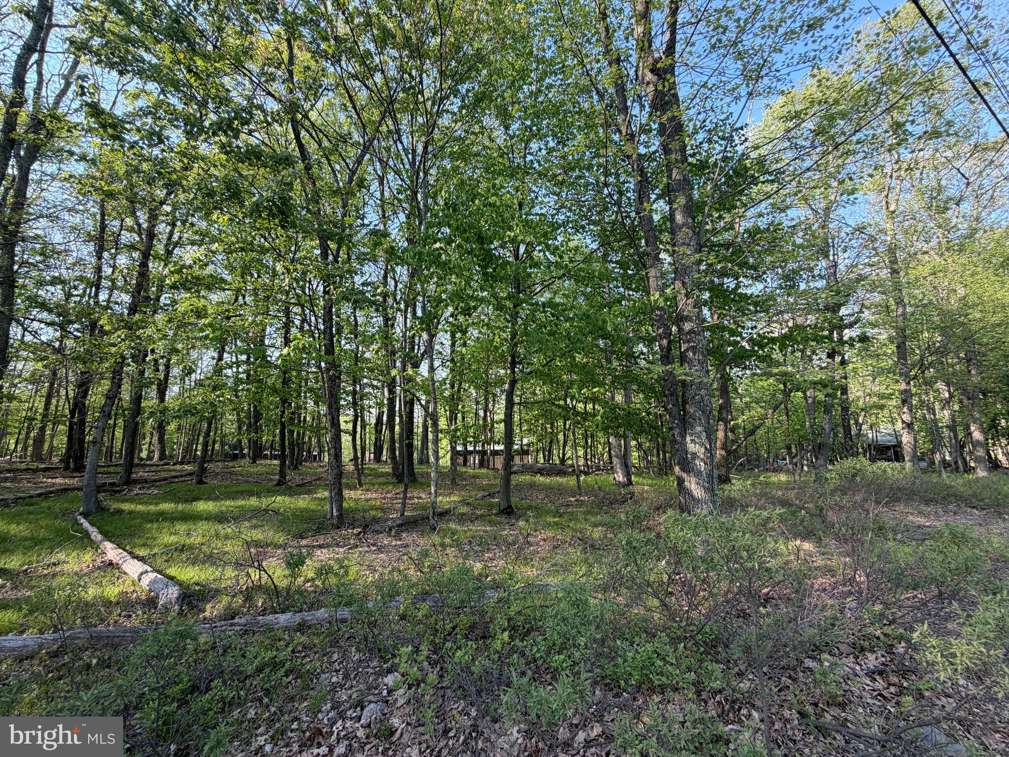 58 JAY PEAK LANE