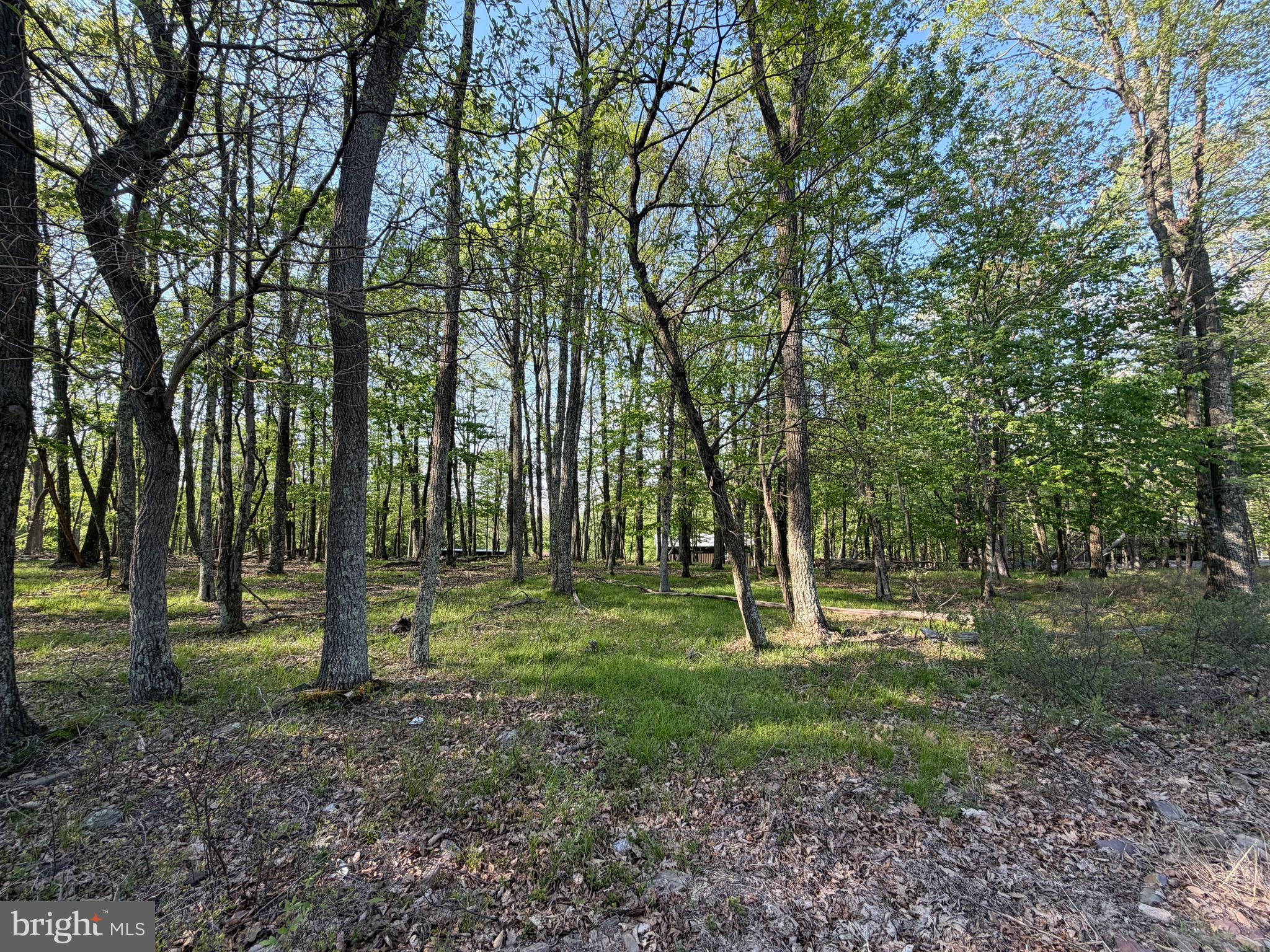 58 JAY PEAK LANE