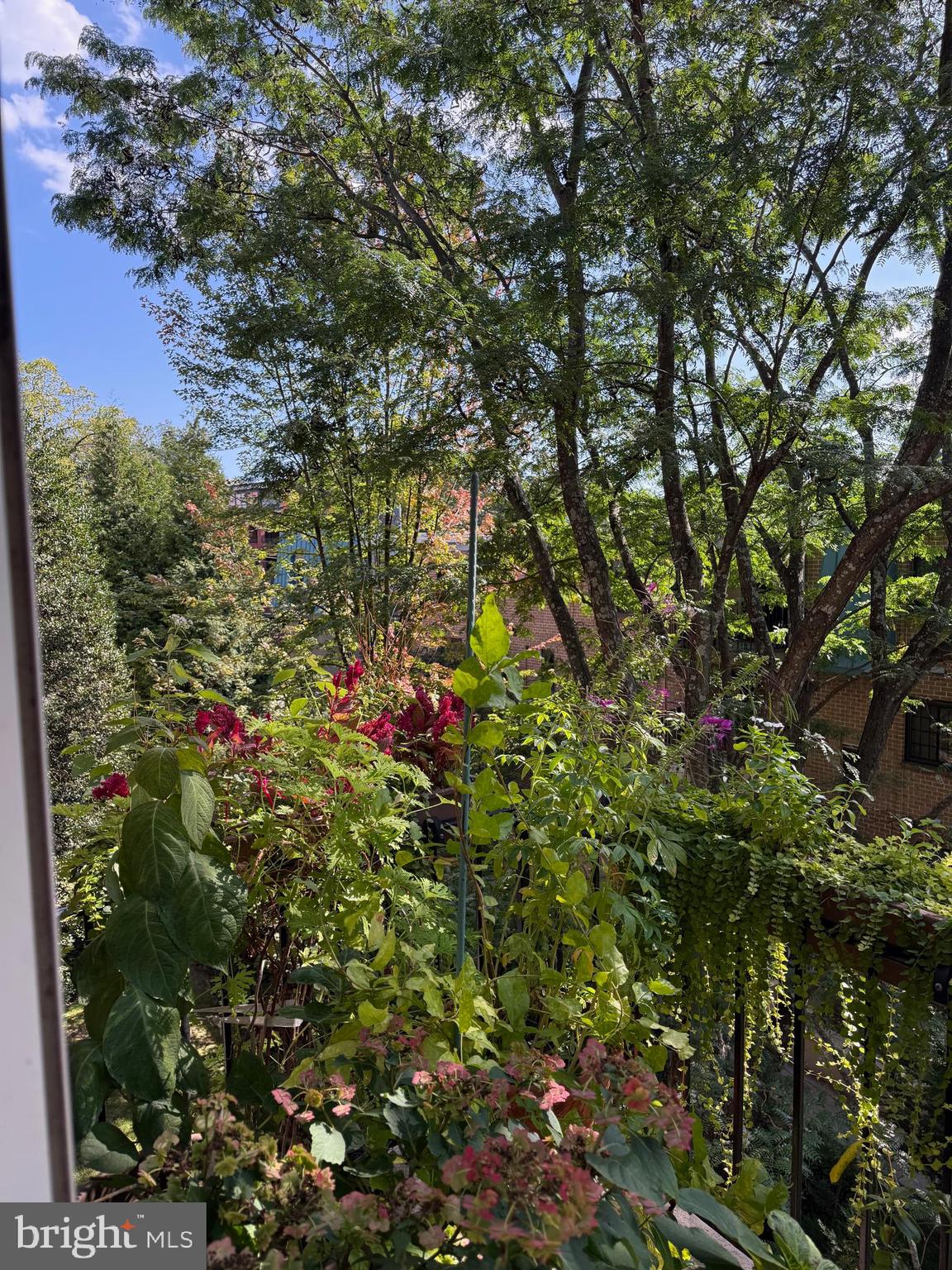 MANSARD HOUSE - Residential