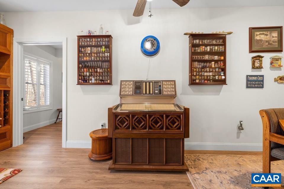 LAKE MONTICELLO - Residential