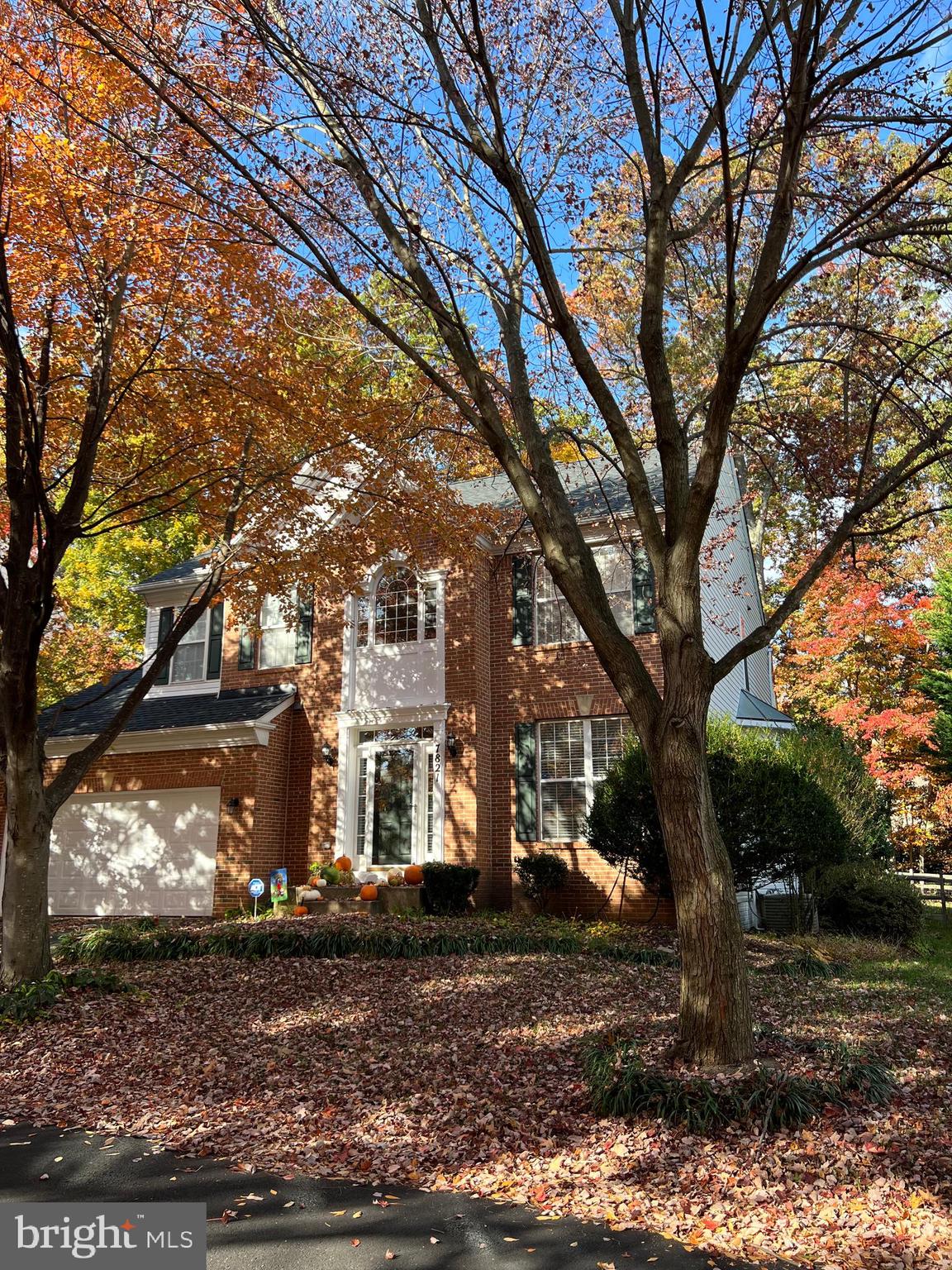 HICKORY GROVE - Residential