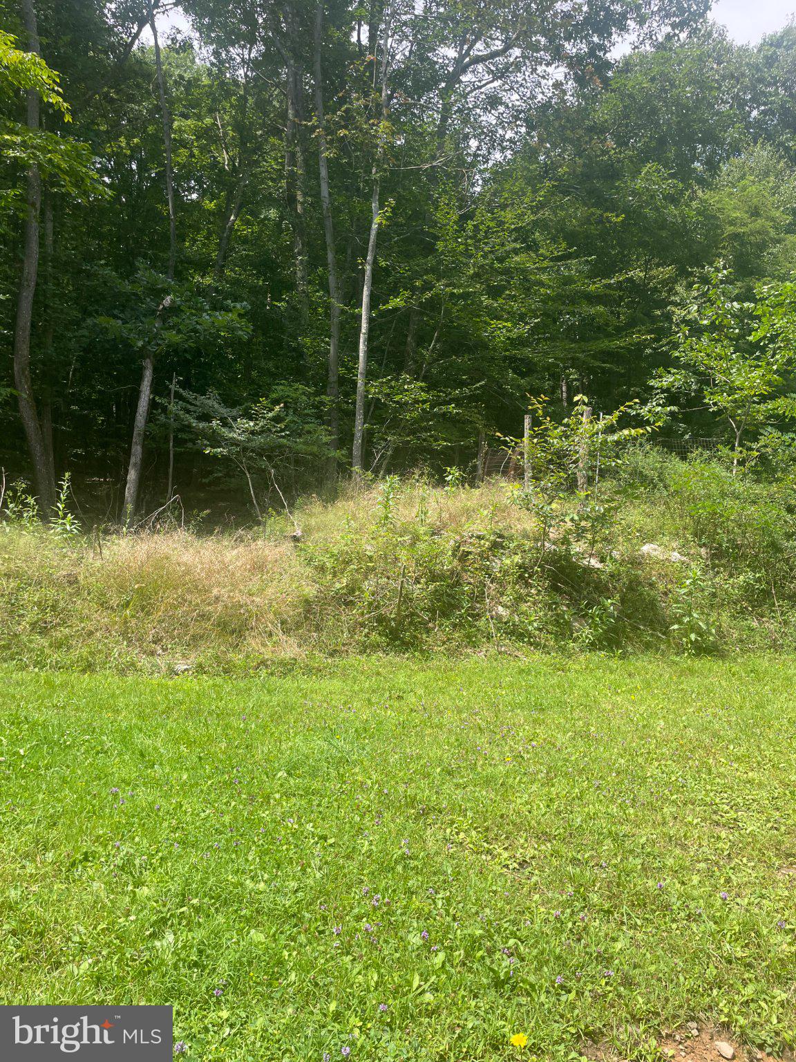 559 GUTHRIE LANE