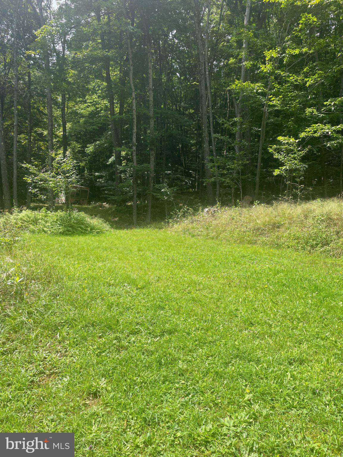 559 GUTHRIE LANE
