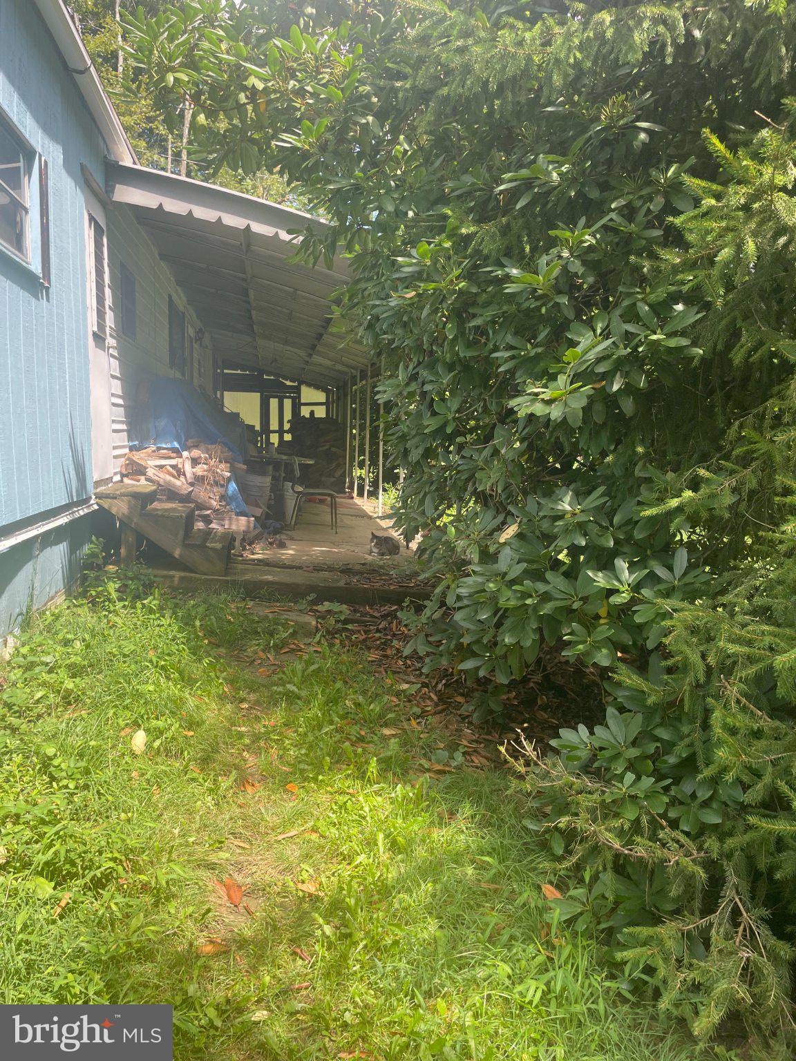 559 GUTHRIE LANE