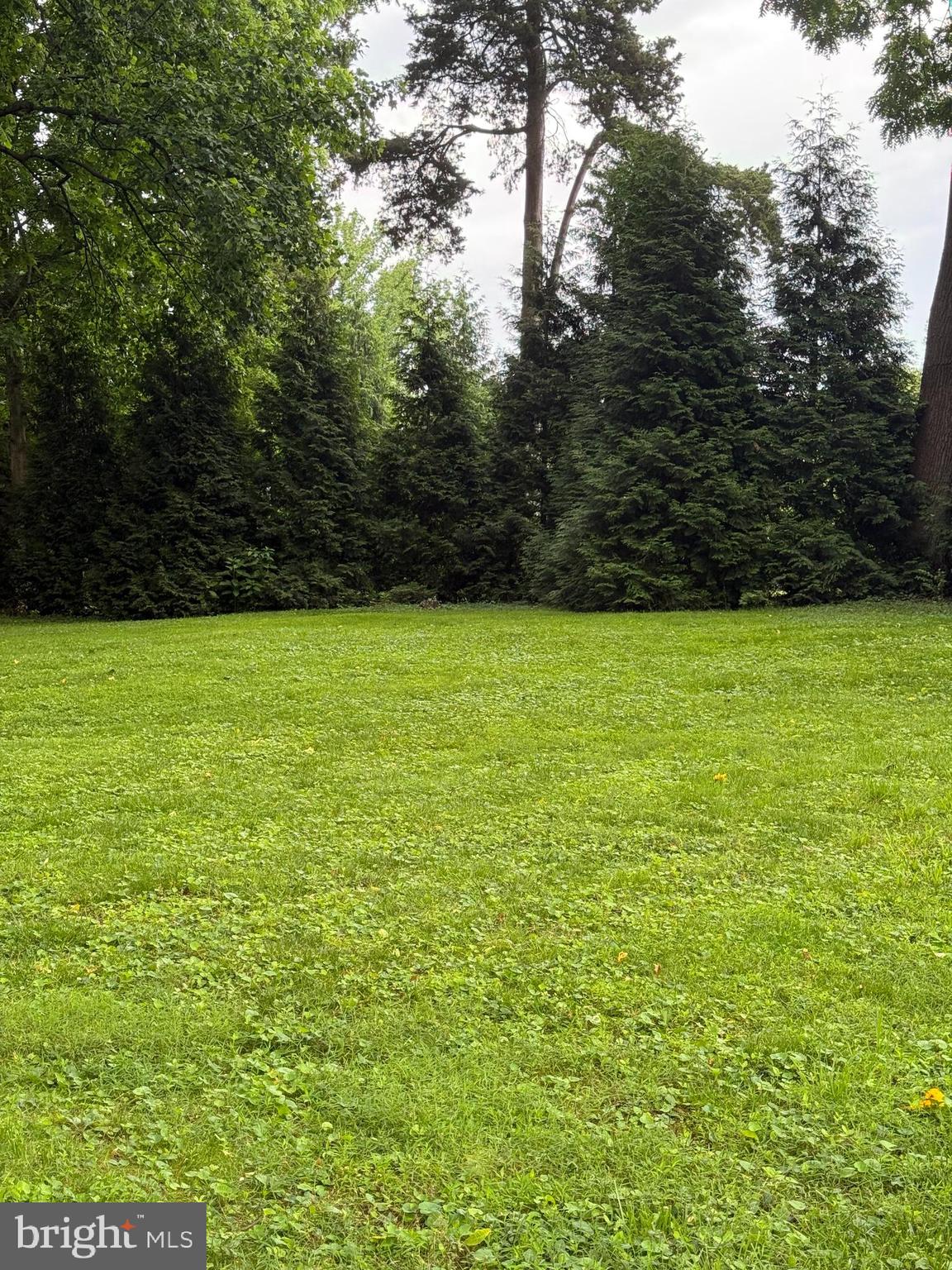 3809 KENILWORTH DRIVEWAY