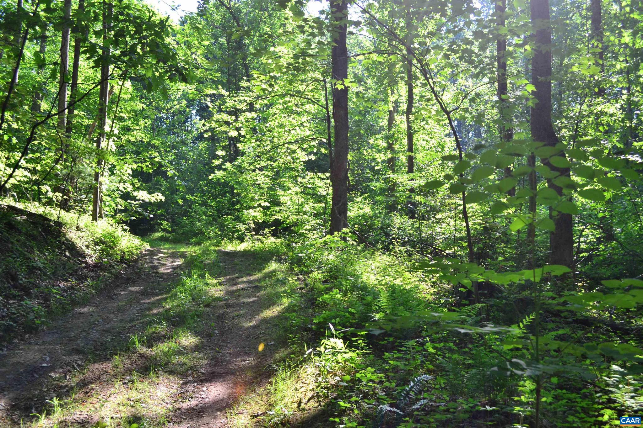 NONE AVAILABLE - Land