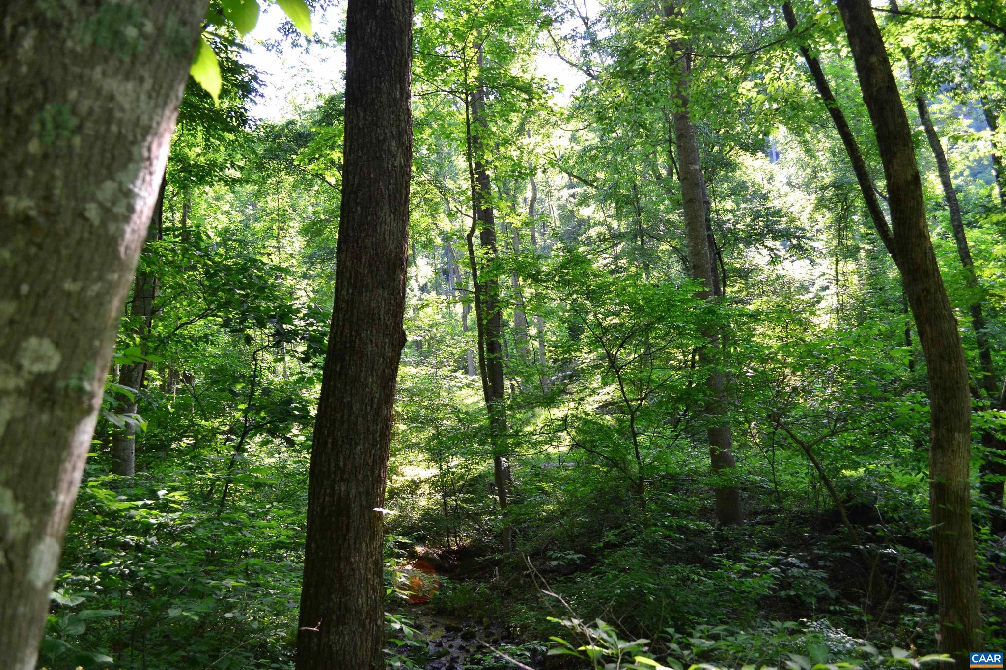 NONE AVAILABLE - Land