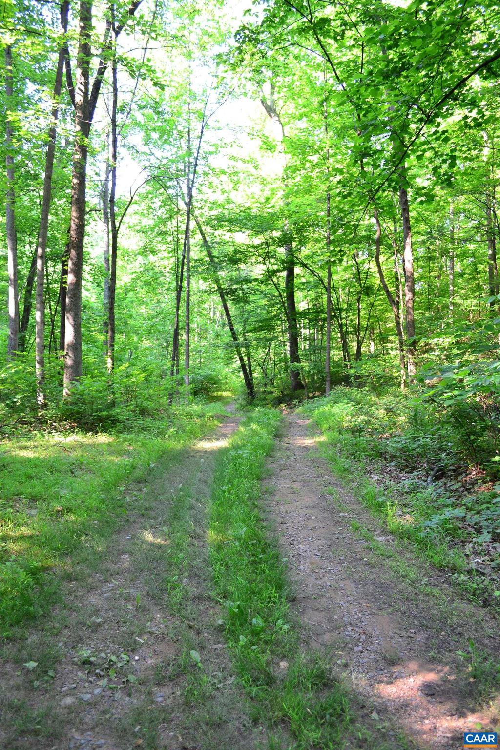 NONE AVAILABLE - Land