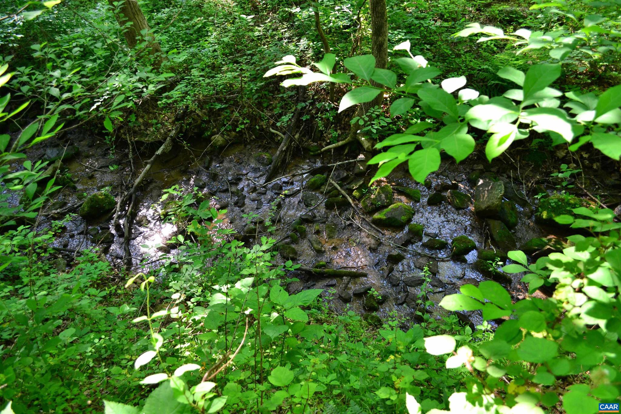 NONE AVAILABLE - Land