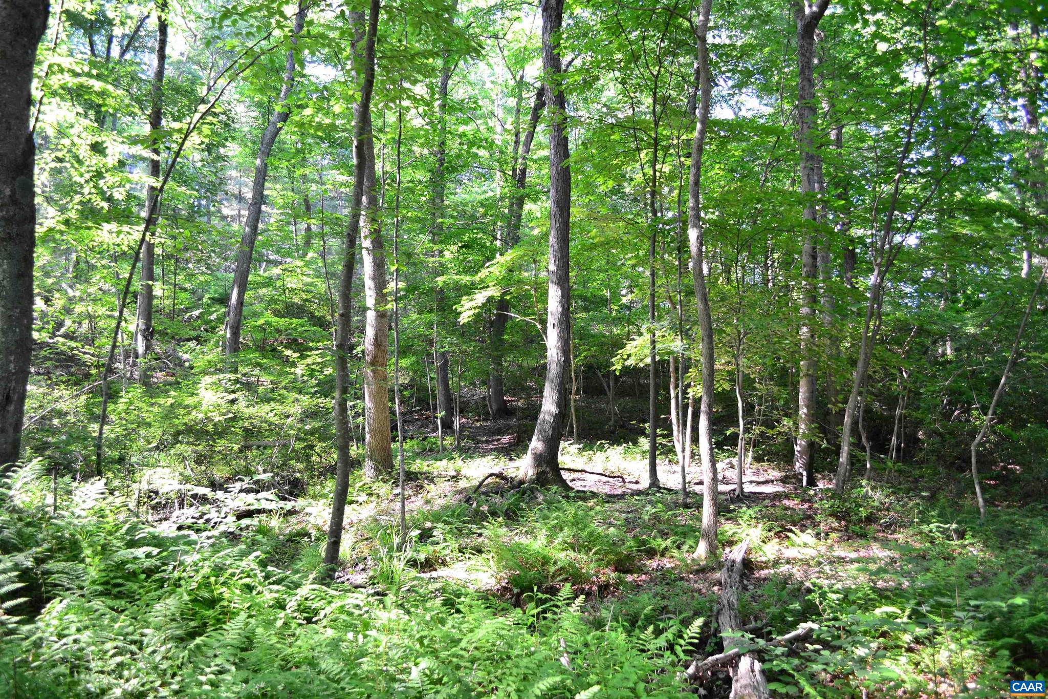 NONE AVAILABLE - Land