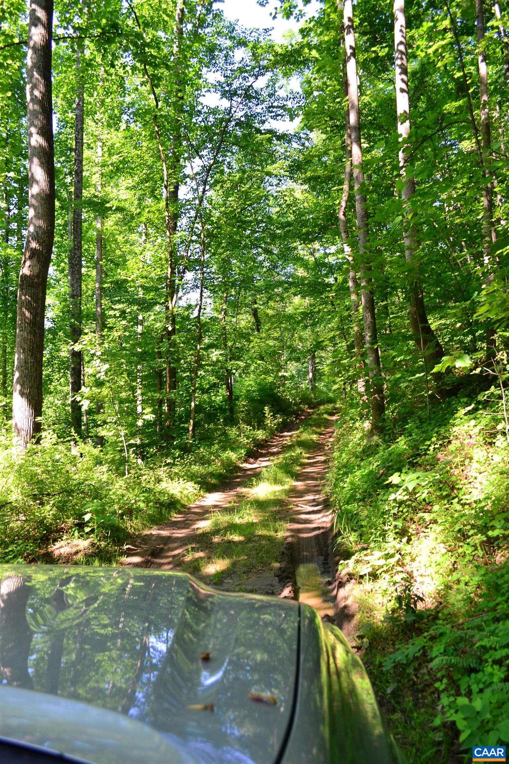 NONE AVAILABLE - Land