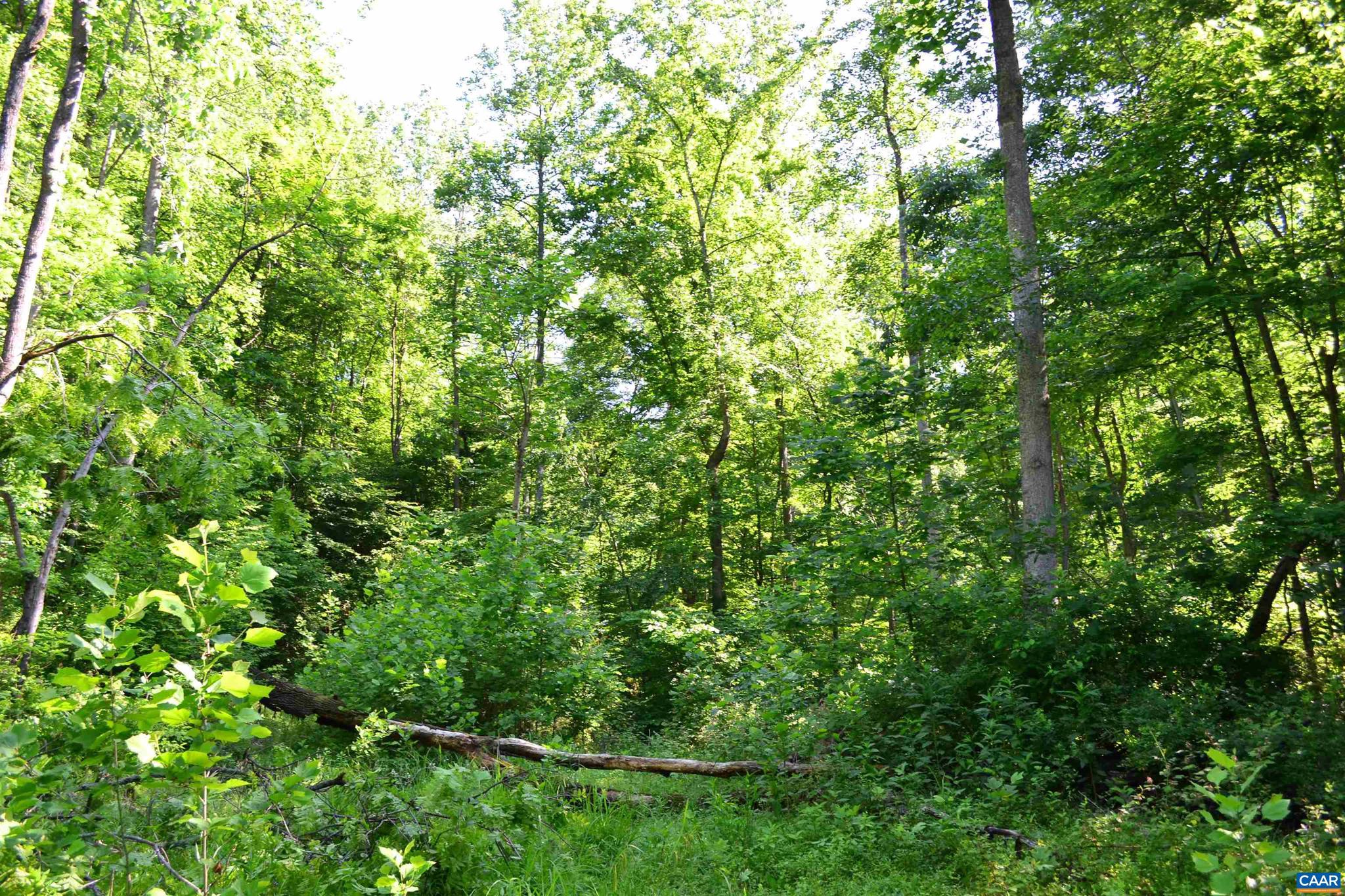 NONE AVAILABLE - Land