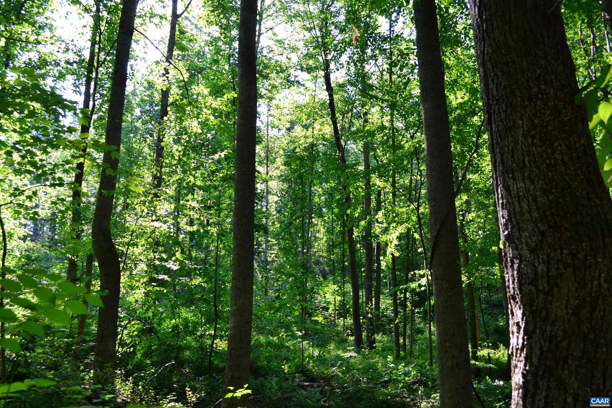 NONE AVAILABLE - Land