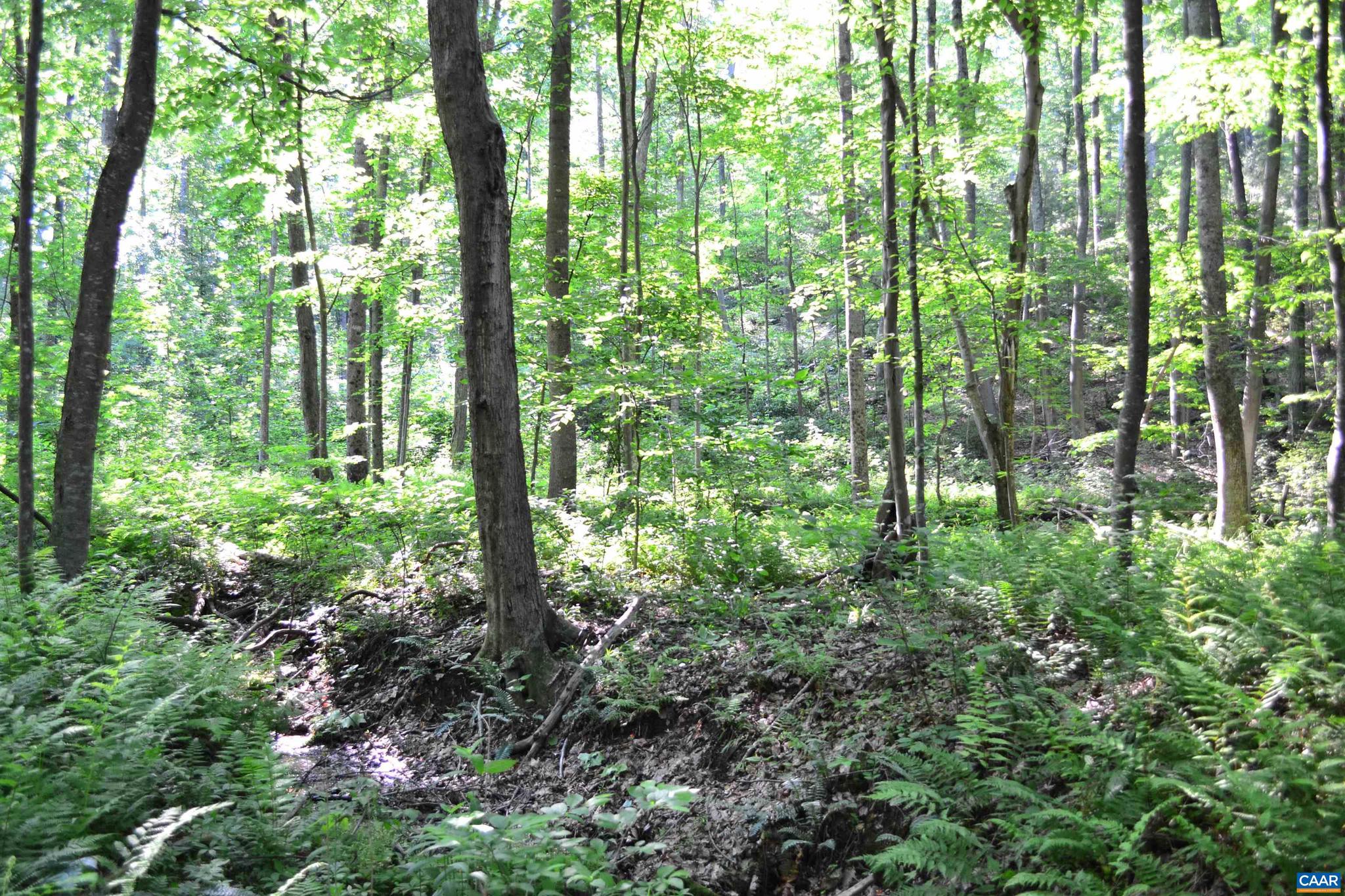 NONE AVAILABLE - Land