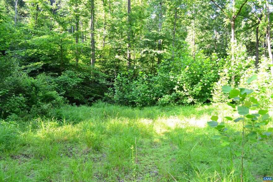 Beautiful hardwood forestry! Very private, very beautiful! Located between Dulaney Mountain and Yowell Mountain; the peak of Yowell Mountain is on the property. Many elevated potential building sites, and perked for a 2-bedroom dwelling (see docs). Natural springs & streams with an abundance of wildlife. Selectively logged in 2017. Deeded easement (in docs).  15 minutes to grocery & gas! 25 minutes to town of Culpeper, 30 minutes to Shenandoah National Park.