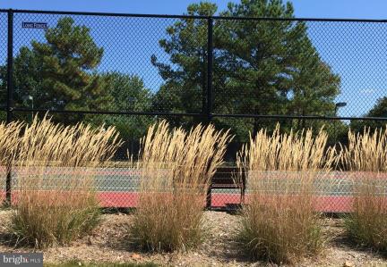 ARMFIELD FARMS - Residential