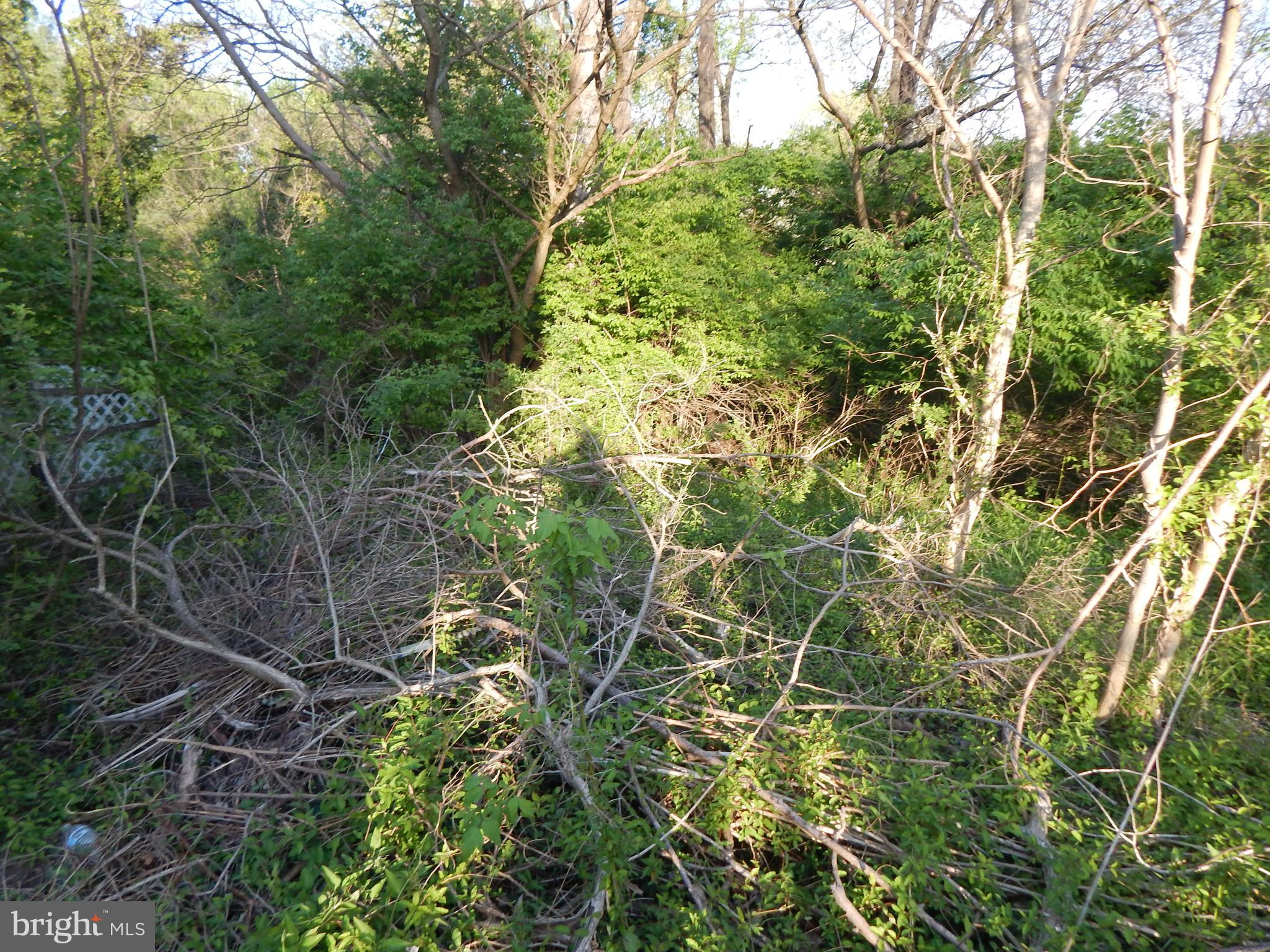 .34 acreage building lot. Lots 91 and 92 are also available, .24,.23 acreage. Build single family homes or townhomes, Villas, Rental properties. Available hookup for public water and sewer. All three lots can be purchase for $173,130.43. Sellers are motivated!
Convenient to shopping, doctors, hospital, parks and Marc train.