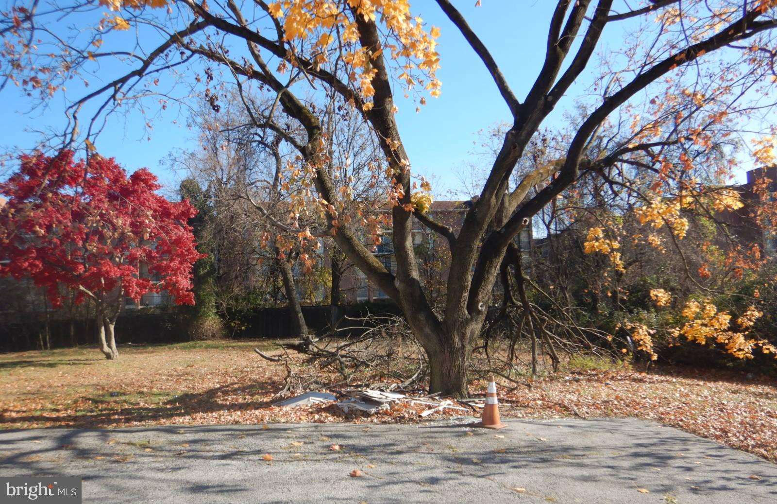 231 BROCK BRIDGE ROAD