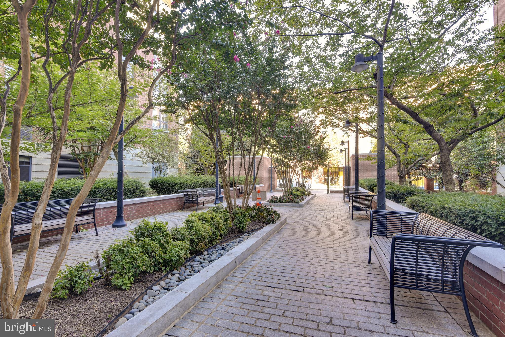 CLARENDON 1021 - Residential