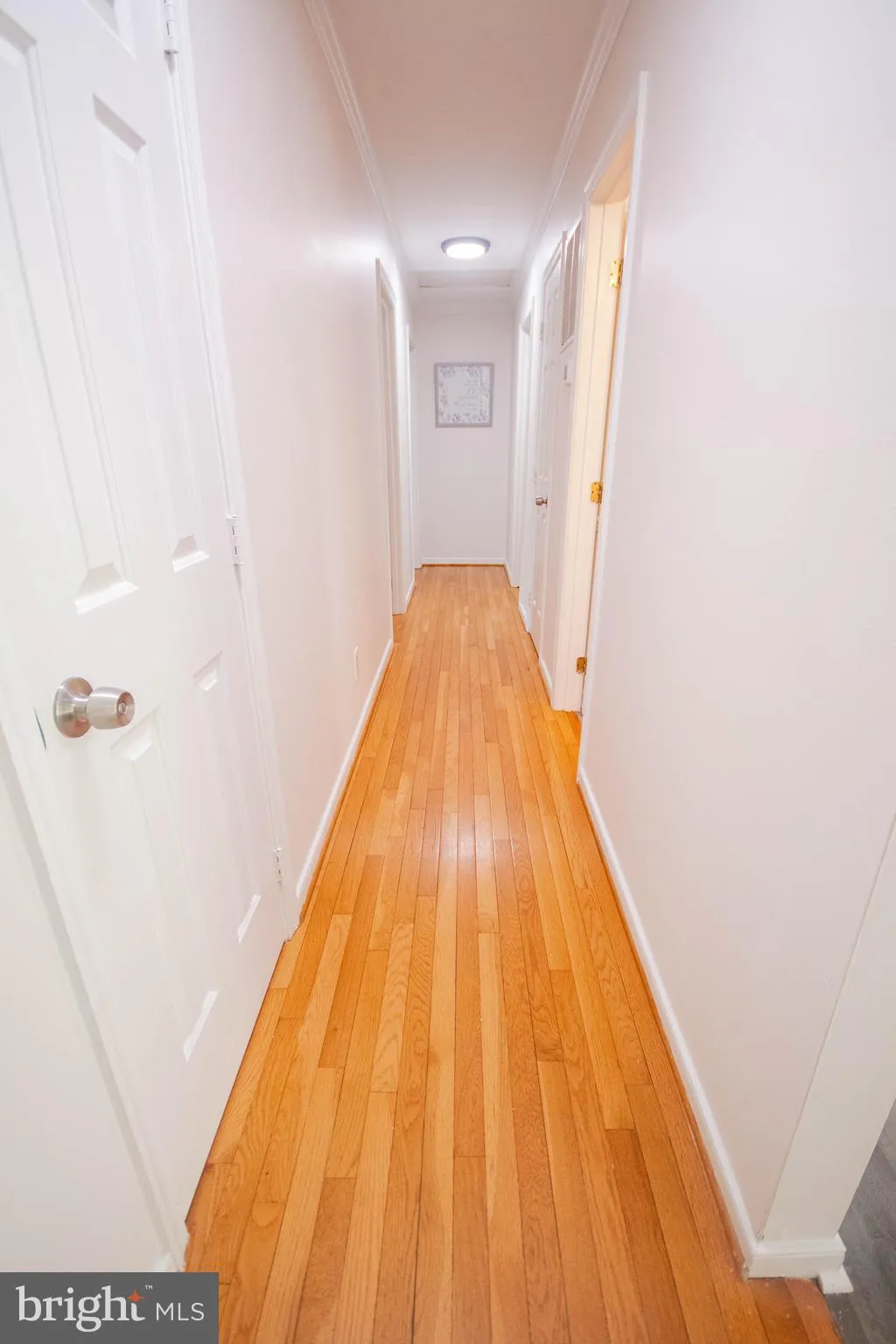 Stafford, Virginia 22556, United States, 5 Bedrooms Bedrooms, ,3 BathroomsBathrooms,Residential,Active,121310